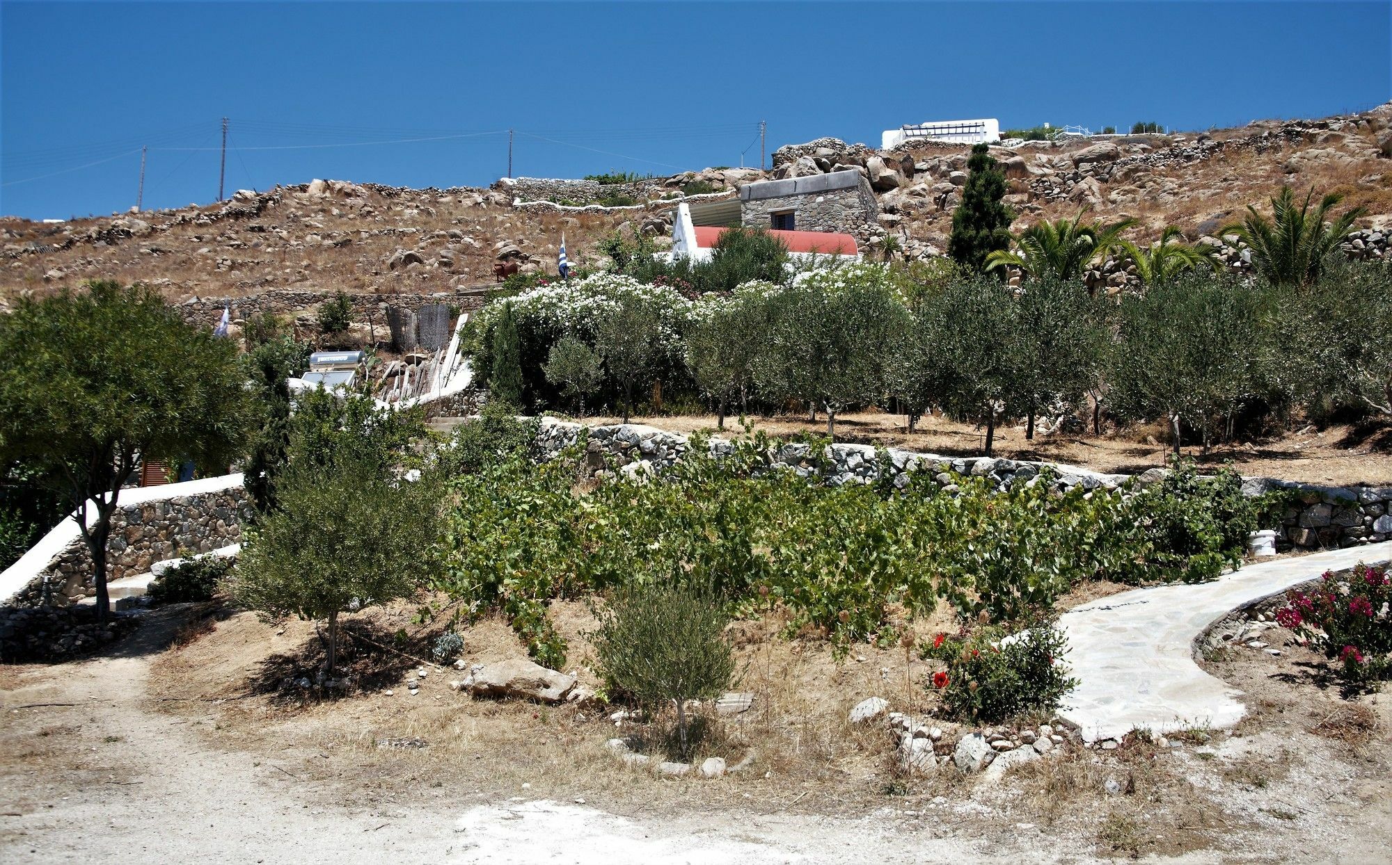 Mykonos Moussa Villa Agios Ioannis Diakoftis Ngoại thất bức ảnh